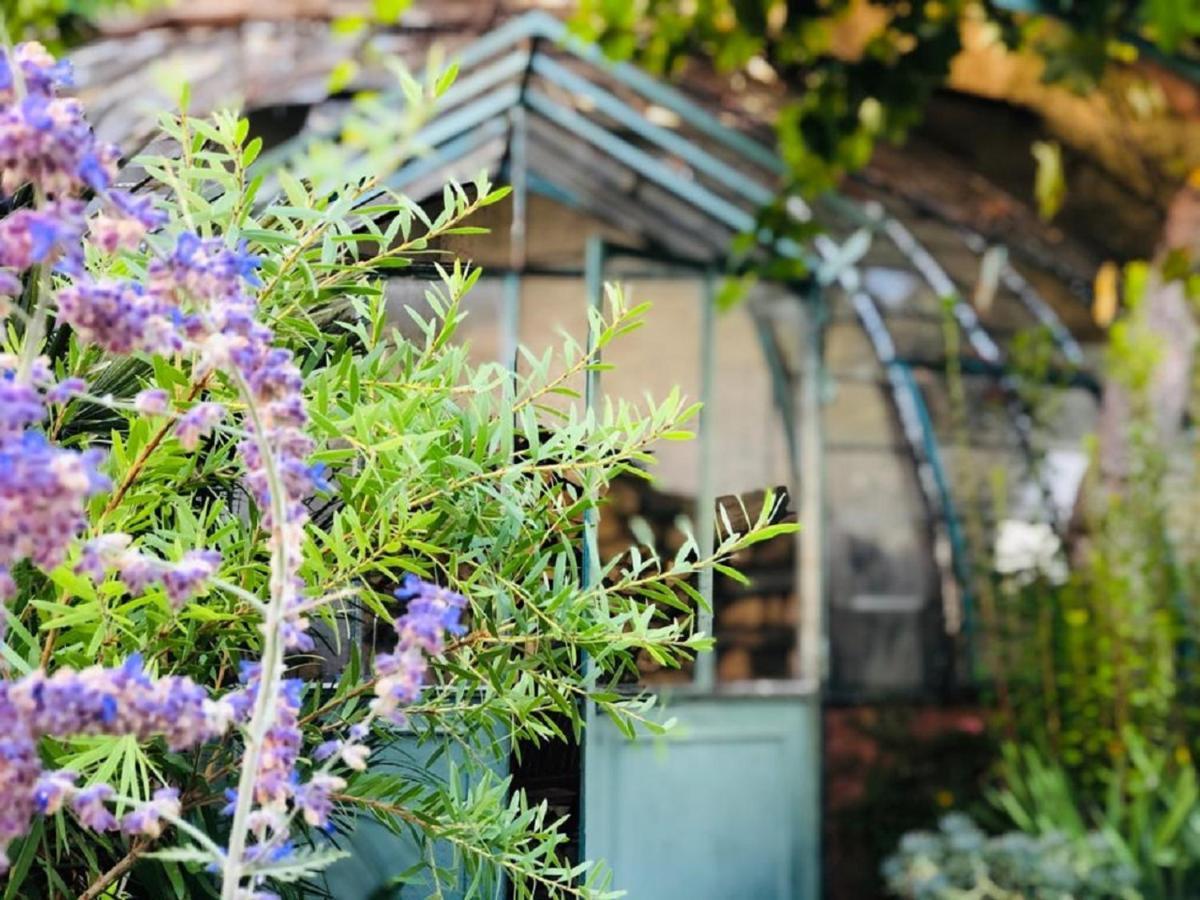 Saint-Marcel-sur-Aude O'Palmier Cache Bed & Breakfast エクステリア 写真