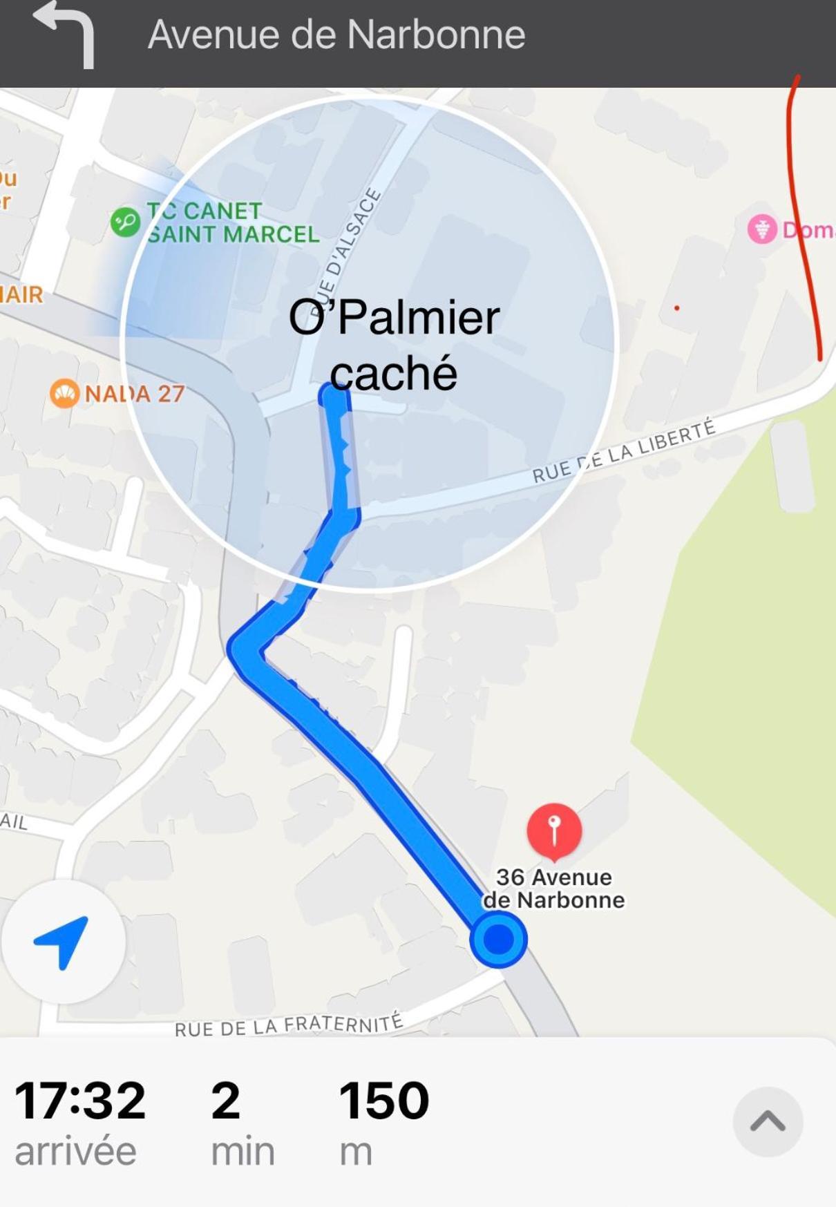 Saint-Marcel-sur-Aude O'Palmier Cache Bed & Breakfast エクステリア 写真