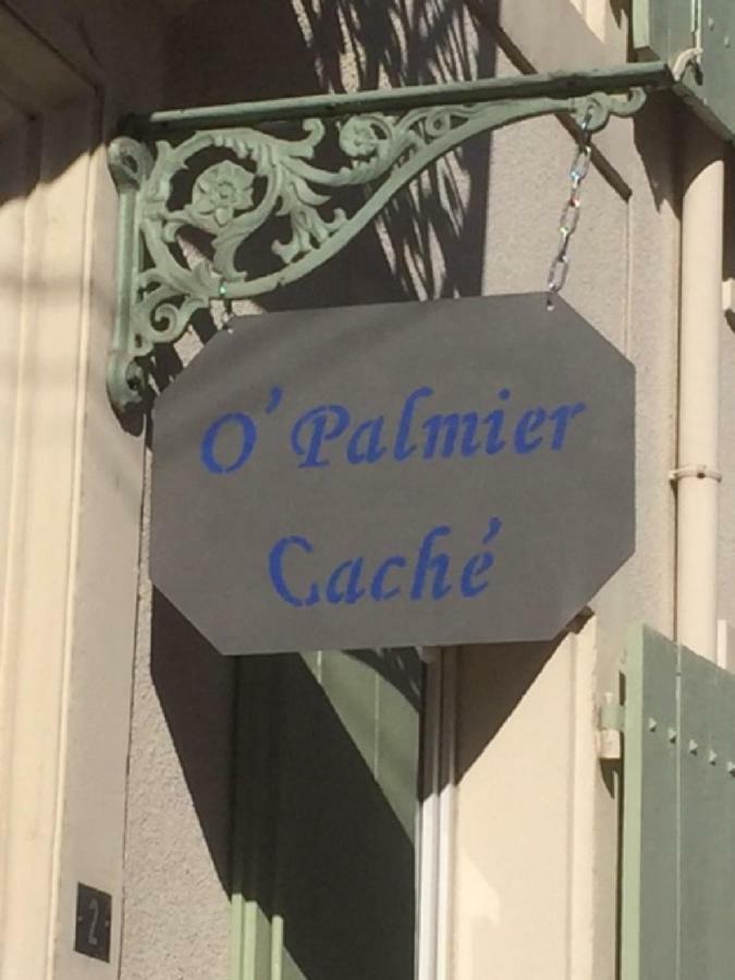Saint-Marcel-sur-Aude O'Palmier Cache Bed & Breakfast エクステリア 写真
