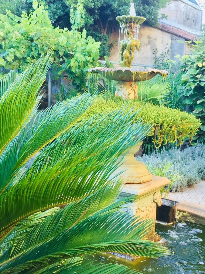 Saint-Marcel-sur-Aude O'Palmier Cache Bed & Breakfast エクステリア 写真